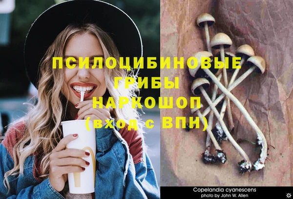 прущие грибы Куйбышев